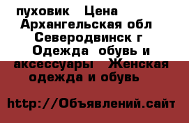 пуховик › Цена ­ 2 000 - Архангельская обл., Северодвинск г. Одежда, обувь и аксессуары » Женская одежда и обувь   